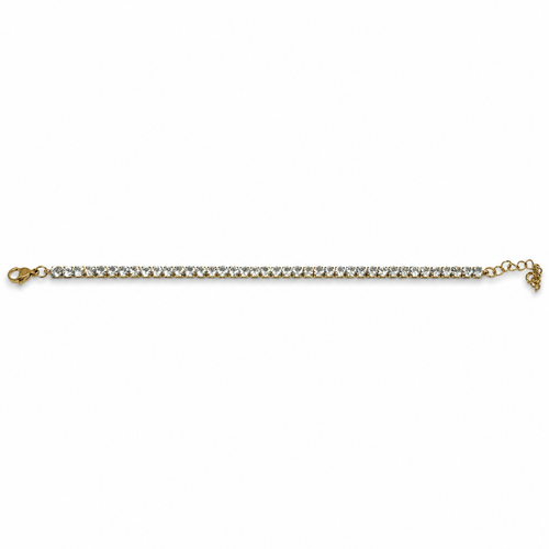 dourado-13681