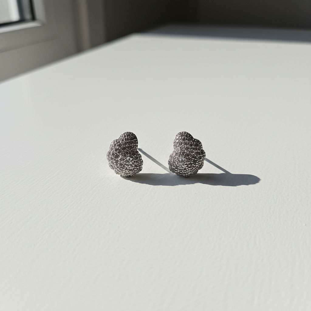 Brinco Prata cravejado com strass